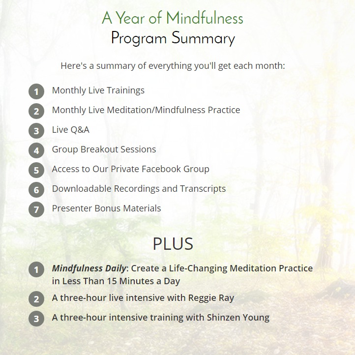 A Year Of Mindfulness : Would You Tame Your Monkey Mind This Year?