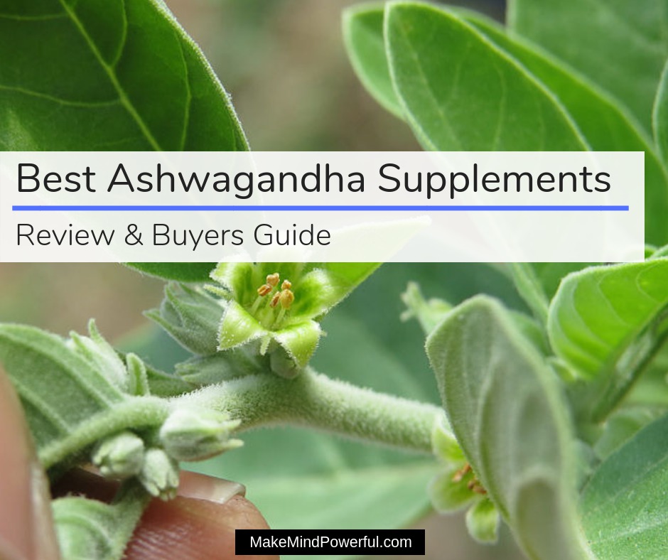 Best Ashwagandha Supplements