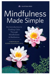 Best Meditation Books For Beginners