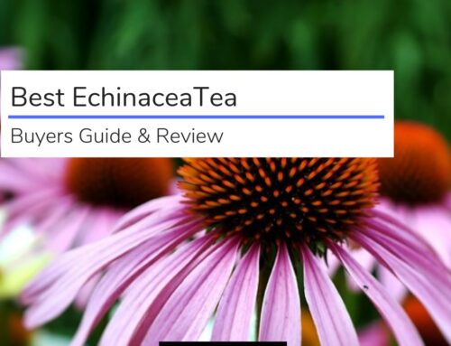 Best Echinacea Tea 2022 (Buyers Guide & Review)