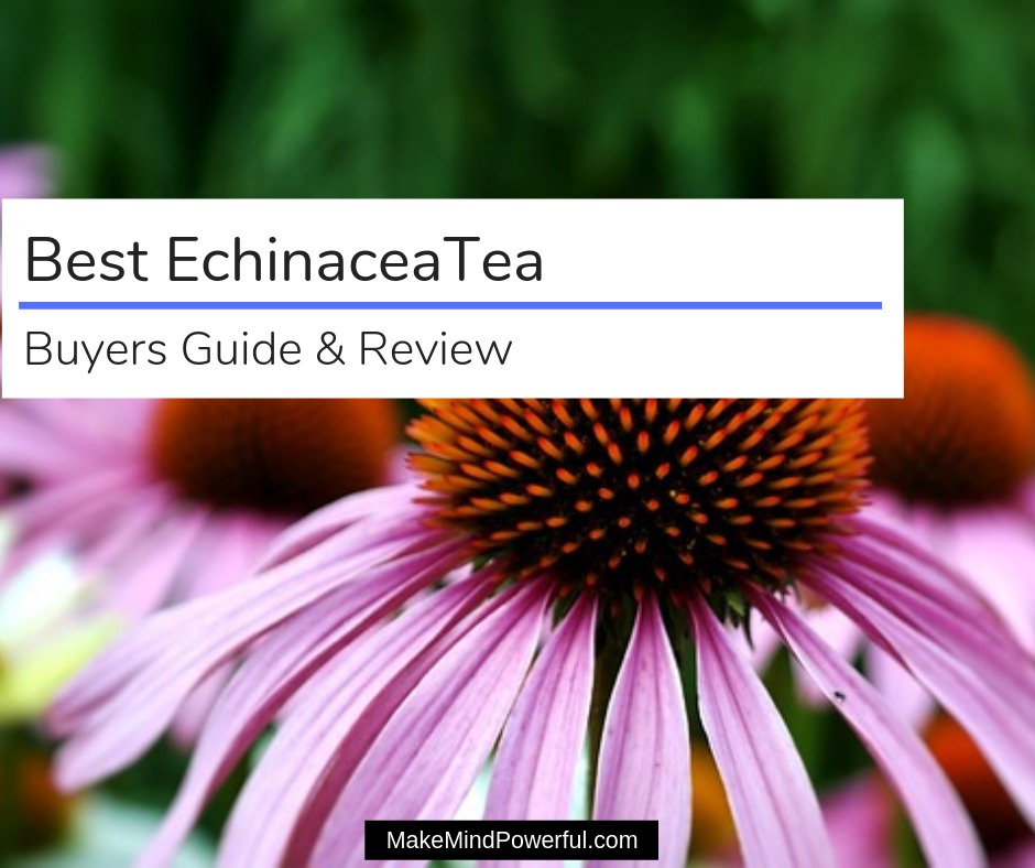 Best Echinacea Tea