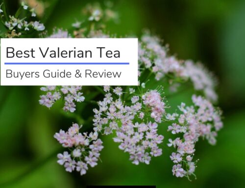 Best Valerian Teas 2022 (Buyers Guide + Review)
