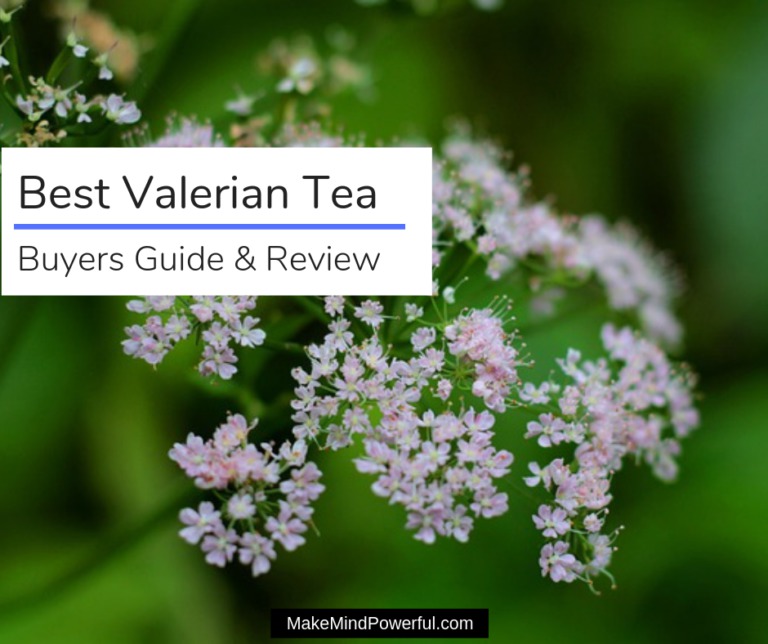 Best Valerian Teas 2022 (Buyers Guide + Review) Mindfulness Dojo